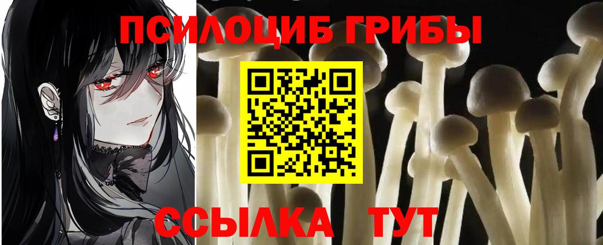 МЕФ Пермь